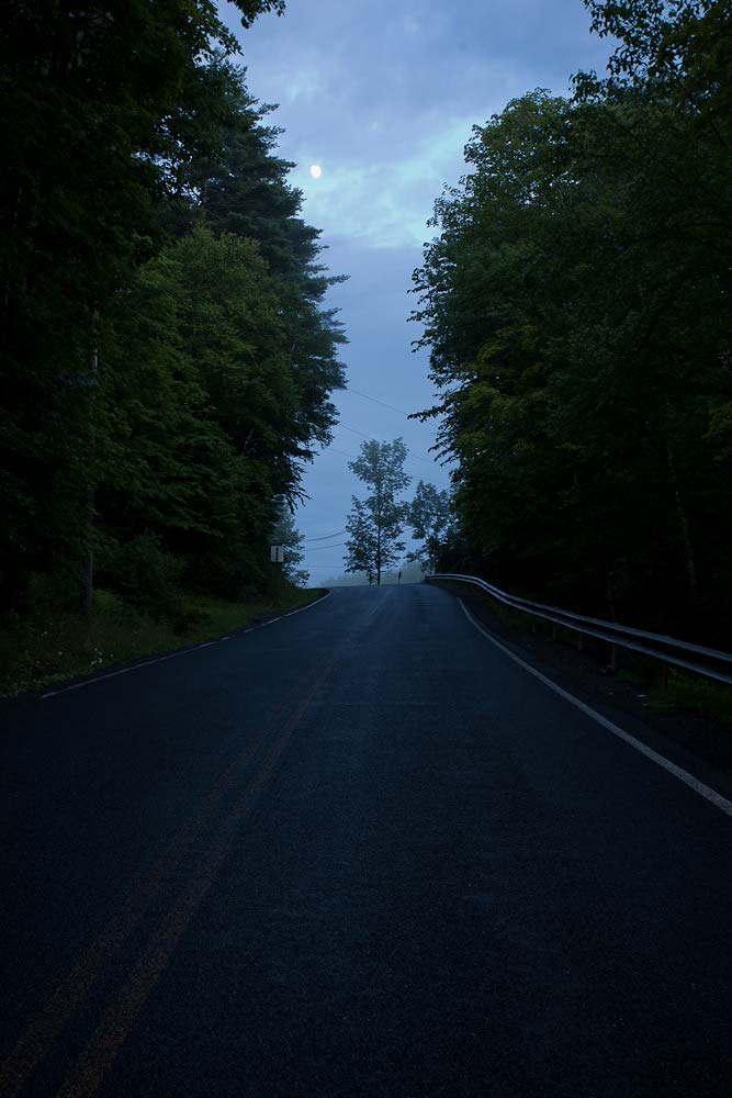 _MG_8489.jpg